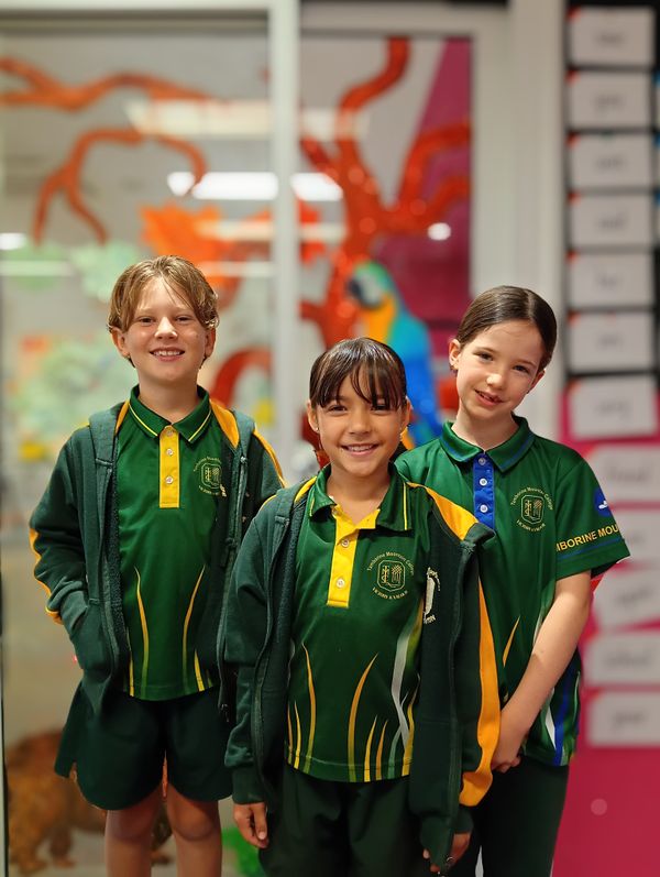 https://media.digistormhosting.com.au/tmc-au-qld-390-website-2023/content/Newsletter-year-2.jpg?v=1792725505