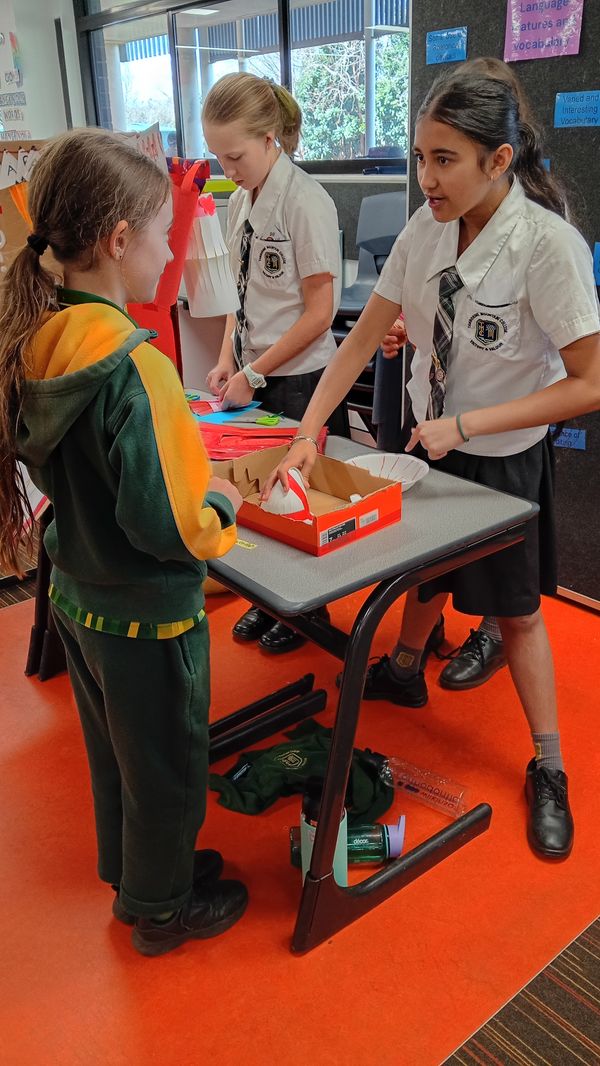 https://media.digistormhosting.com.au/tmc-au-qld-390-website-2023/content/IMG_20260917_144433_MFNR_HDR.jpg?v=1789688156