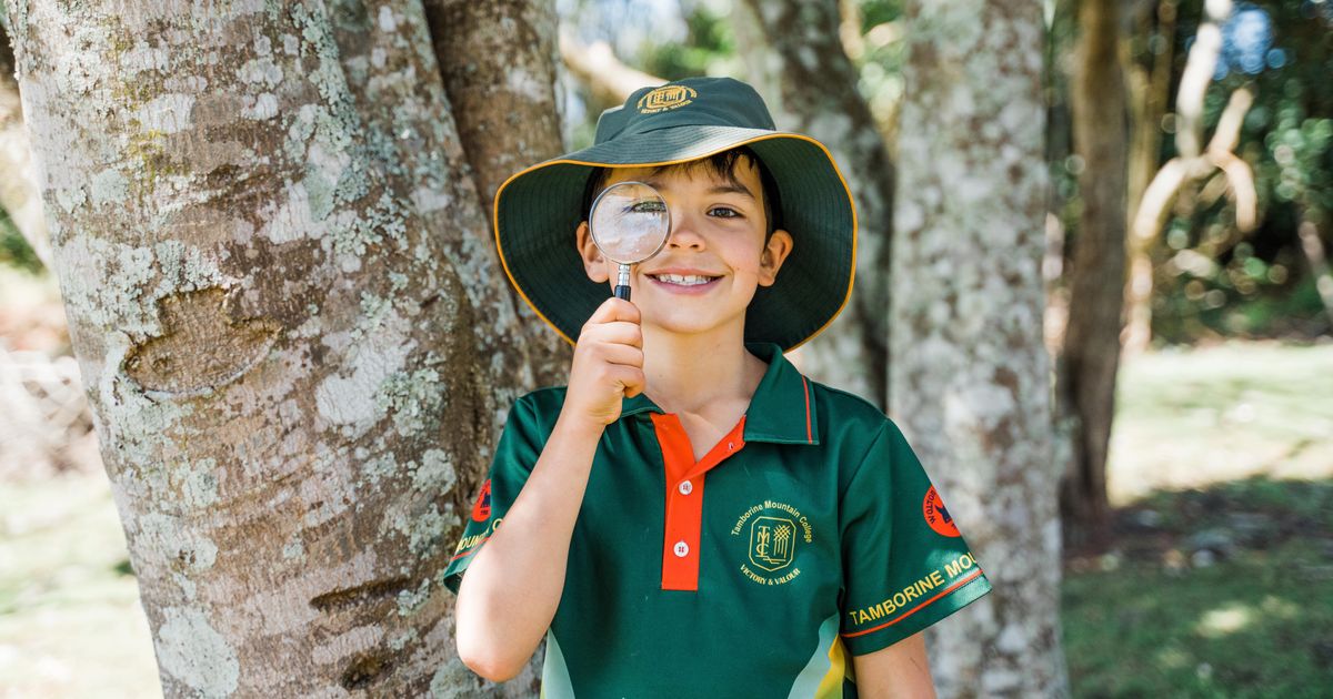 Prep Year 2 Tamborine Mountain College