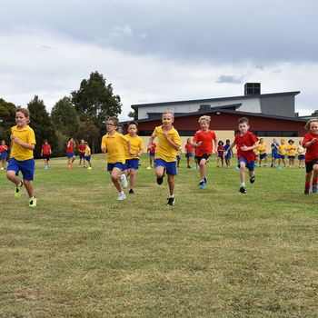 Cross Country Carnival 2018 25