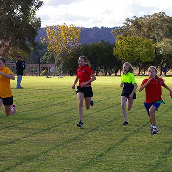 2018 Primary Athletics Carnival 9