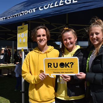 Ruok Day 506