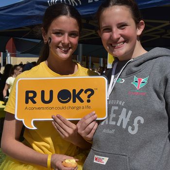 Ruok Day 508