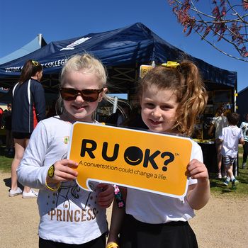 Ruok Day 527