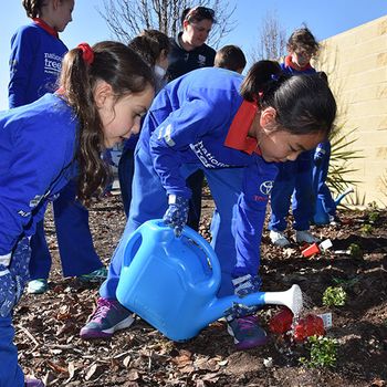 Schools Tree Day Foundation 17