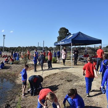 Schools Tree Day Years 2 And 6 5