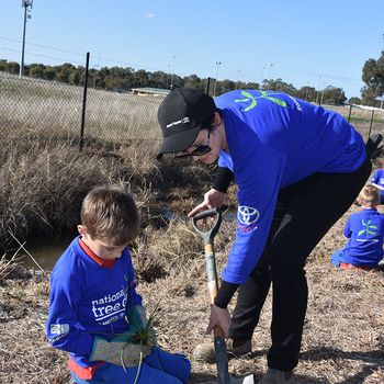 Schools Tree Day Years 2 And 6 11