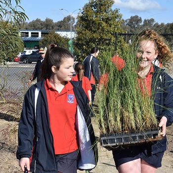 Schools Tree Day Years 2 And 6 14