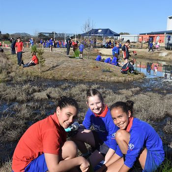 Schools Tree Day Years 2 And 6 18