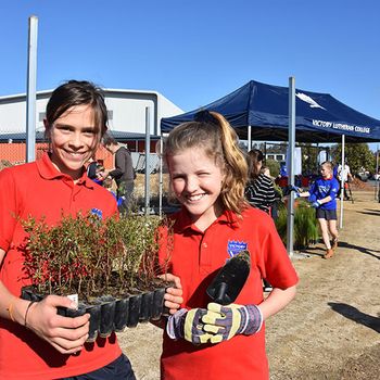 Schools Tree Day Years 2 And 6 2