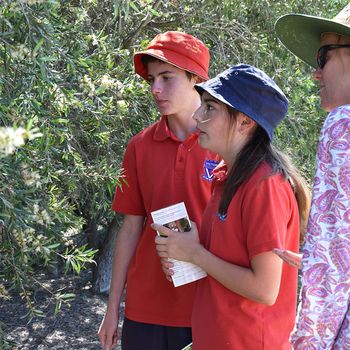 Yr 8 Biodiversity Day Insect Safari 5