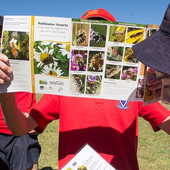 Yr 8 Biodiversity Day Insect Safari 7