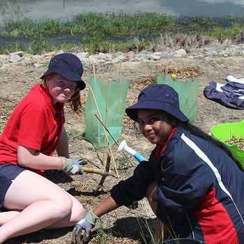 Yr 8 Biodiversity Day Native Plants 1