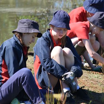 Yr 8 Biodiversity Day Native Plants 2