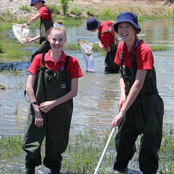 Yr 8 Biodiversity Water Bugs 3