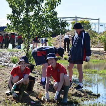 Yr 8 Biodiversity Water Bugs 6