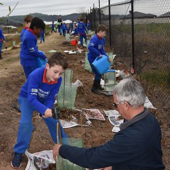 T3 National Tree Day Yr 2 12