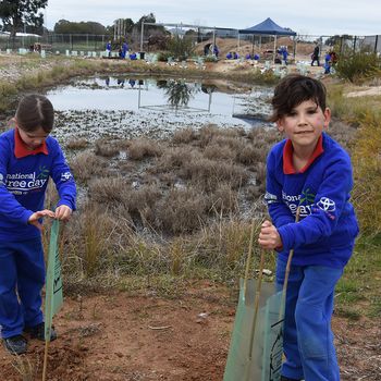 T3 National Tree Day Yr 2 13