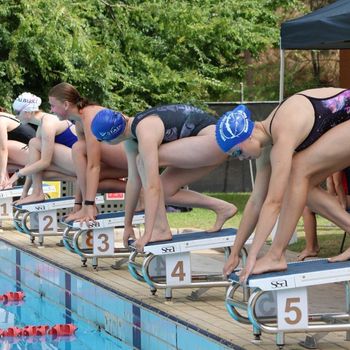 2024 T1 Wk 3 Sec Swimming Carnival 88