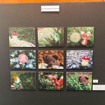 Soar 25 Unit 4 AME folios 41