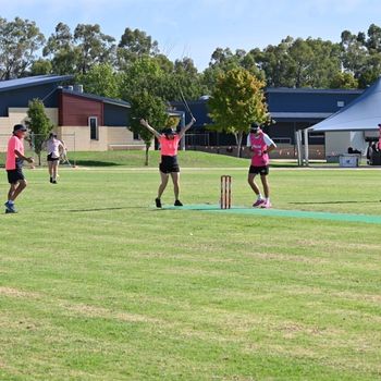 T1 Wk 5 Pink Stumps Day 120 Copy