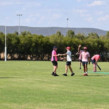 T1 Wk 5 Pink Stumps Day 171