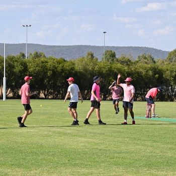 T1 Wk 5 Pink Stumps Day 173