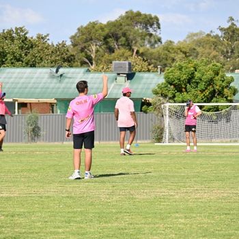 T1 Wk 5 Pink Stumps Day 264