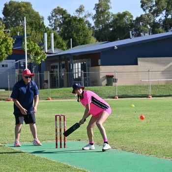 T1 Wk 5 Pink Stumps Day 299