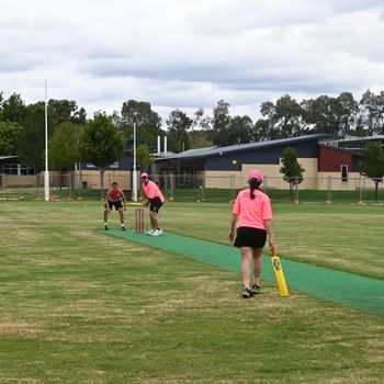2026 T1 Wk 6 Yr 12 Pink Stumps Cricket Match 366