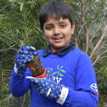 2026 T3 Wk 2 Schools Tree Day Year 2 43
