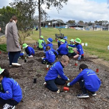 2026 T3 Wk 2 Schools Tree Day Year 2 56