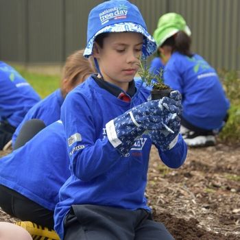 2026 T3 Wk 2 Schools Tree Day Year 2 57