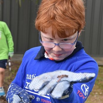 2026 T3 Wk 2 Schools Tree Day Year 2 59
