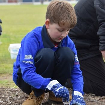 2026 T3 Wk 2 Schools Tree Day Year 2 71