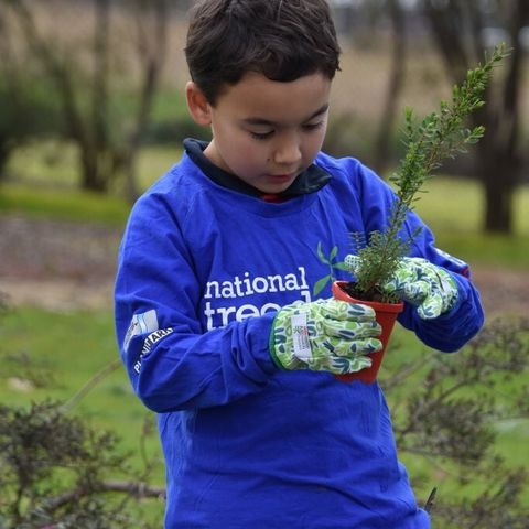2026 T3 Wk 2 Schools Tree Day Year 2 98