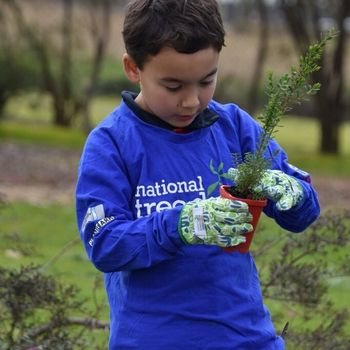 2026 T3 Wk 2 Schools Tree Day Year 2 98