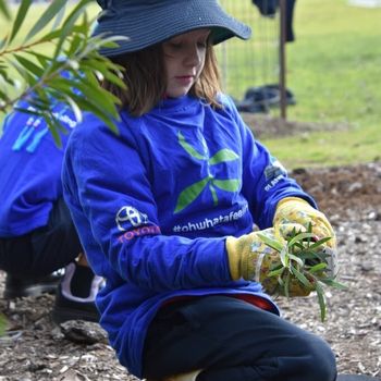 2026 T3 Wk 2 Schools Tree Day Year 2 126