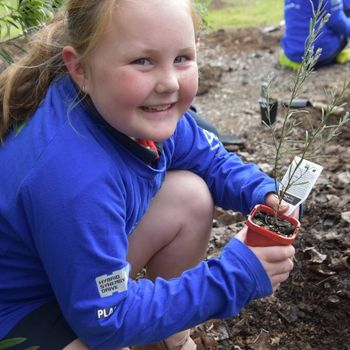 2026 T3 Wk 2 Schools Tree Day Year 2 130