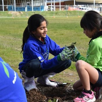 2026 T3 Wk 2 Schools Tree Day Year 2 31
