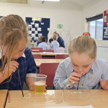 T3 Wk 7 Foundation Science week 7