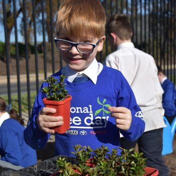 Vlc Connor Maloy In Foundation Gets Ready To Plant A Seedling For Schools Tree Day