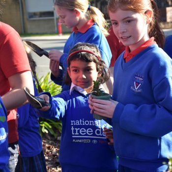 Vlc Schools Tree Day Juliana Joemon Foundation And Rachel Dear Year 5
