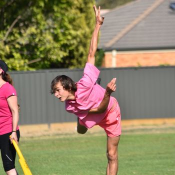 Pink Stumps Day 16