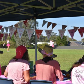 Pink Stumps Day 19