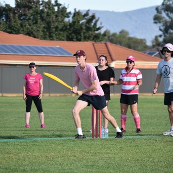 Pink Stumps Day 31