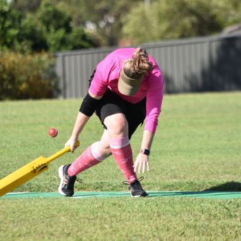 Pink Stumps Day 6