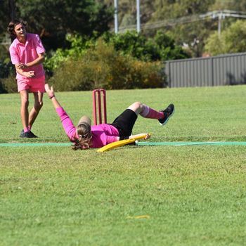 Pink Stumps Day 7