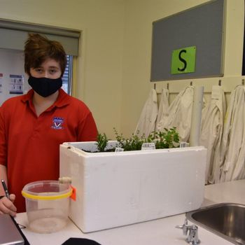 Science Yr 7 Sustainable Showcase 24
