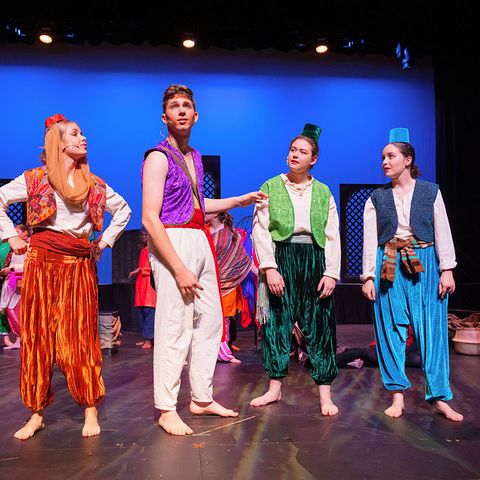 Aladdin Al And Pals